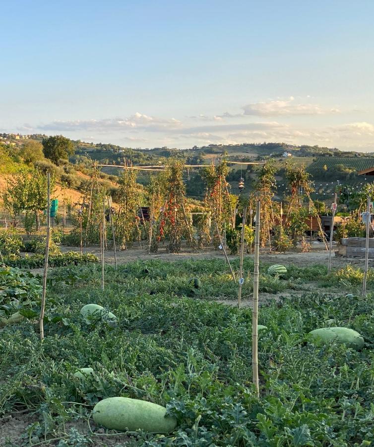 Poderino - A Place To Feel Cento  Exterior photo